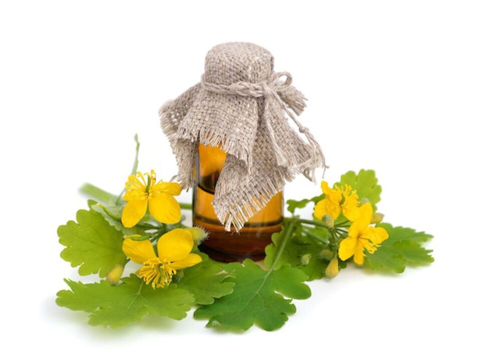 infuzie de celandină pentru ciuperca piciorului